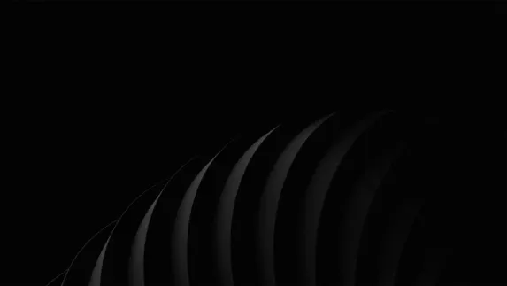 Starda Casino Soporte